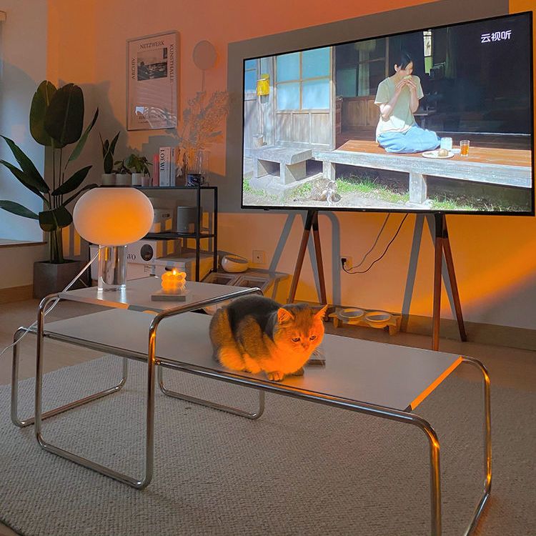 Laccio Coffee Table-Choices for Modern Living
