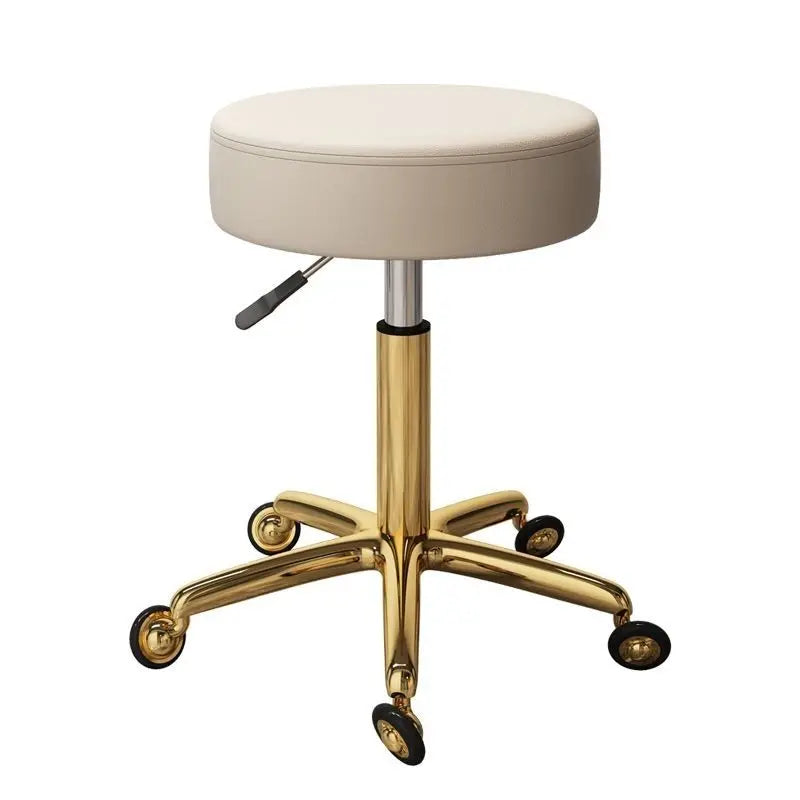 ProStyle Adjustable Hairdressing Chair