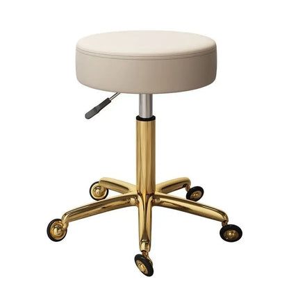 ProStyle Adjustable Hairdressing Chair