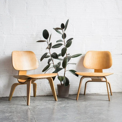 Nordic Shell Lounge Chair & Eames Dog Stool – Sculptural Mid-Century Modern Icons